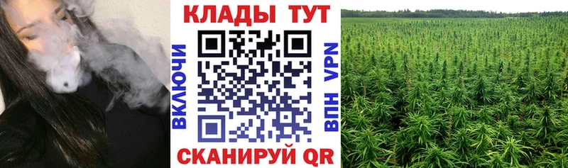 Где продают наркотики Изобильный Кетамин  Alpha PVP  МЕФ  Гашиш  АМФЕТАМИН 